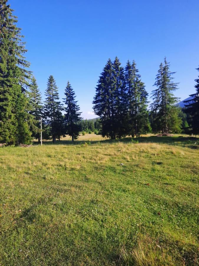 Willa Etno House Momcilo Žabljak Zewnętrze zdjęcie